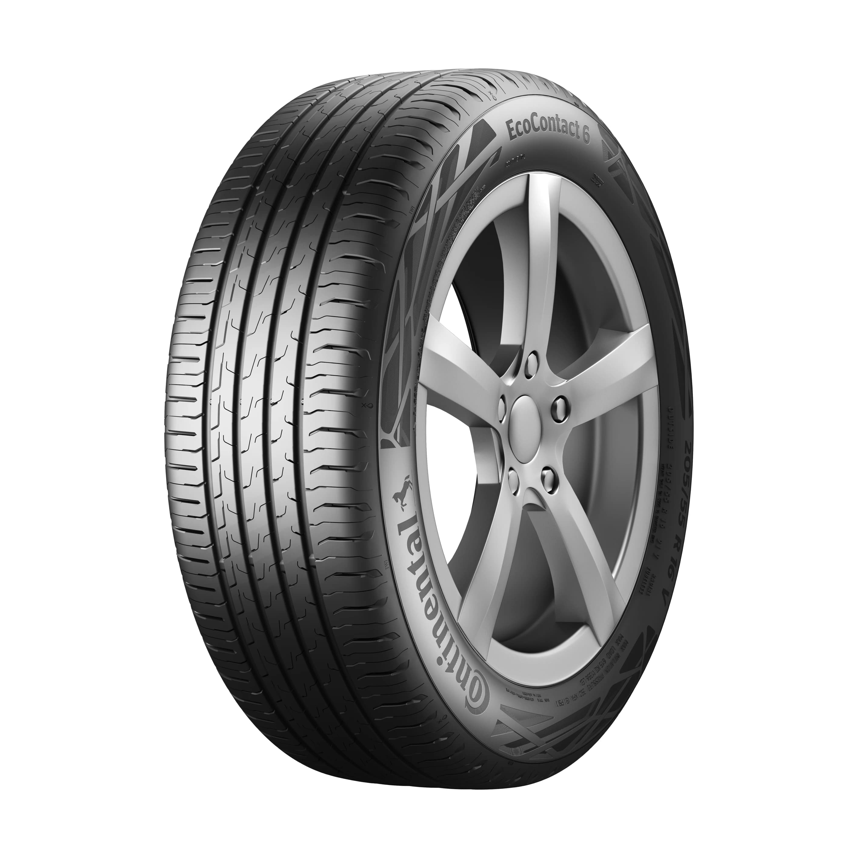 Continental EcoContact 6 tyre — three-quarter studio view with EcoContact 6 sidewall lettering